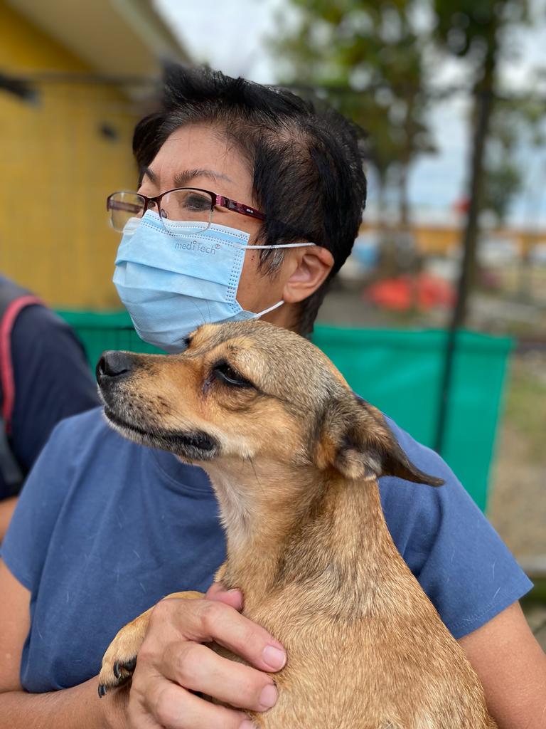 Animal Welfare